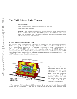 The CMS Silicon Strip Tracker