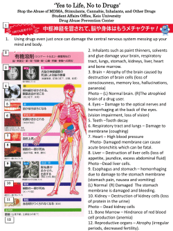 PowerPoint プレゼンテーション