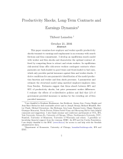 Productivity Shocks, Long-Term Contracts and