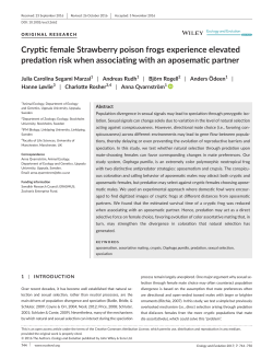 Cryptic female Strawberry poison frogs experience