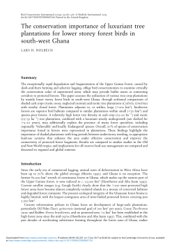 The conservation importance of luxuriant tree plantations for lower