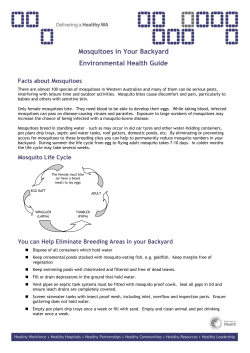 Mosquitoes in Your Backyard Environmental Health Guide