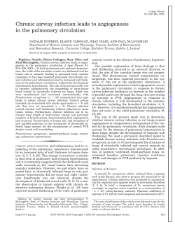 Chronic airway infection leads to angiogenesis in the pulmonary