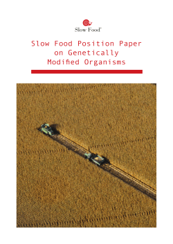 Slow Food Position Paper on Genetically Modified Organisms
