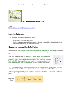 Cell Processes: Osmosis