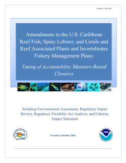 FMP Amendment to Accountability Measures