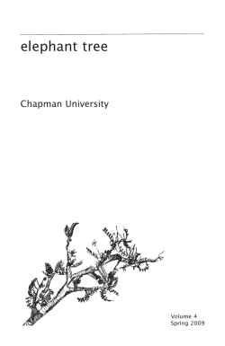 elephant tree - Chapman University