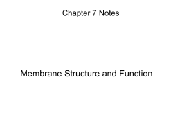 Membrane Structure and Function
