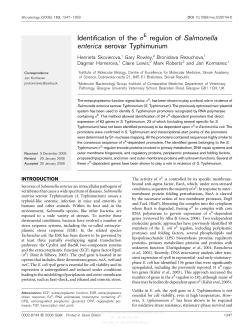 Identification of the s regulon of Salmonella enterica