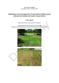 Adaptation and management of Australian buffalo grass cultivars for