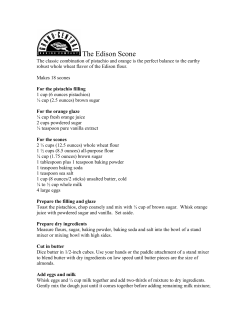 The Edison Scone