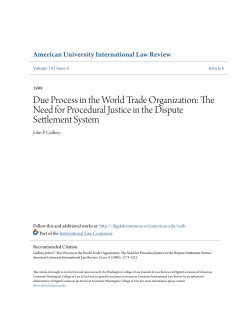 Due Process in the World Trade Organization