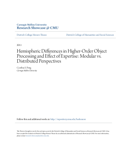 Hemispheric Differences in Higher