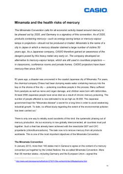 Minamata and the health risks of mercury