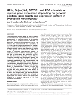 HP1a, Su(var)3-9, SETDB1 and POF stimulate or repress gene