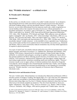 6(a). `Wrinkle structures` &ndash; a critical review