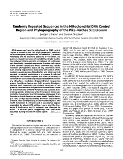 Tandemly Repeated Sequences in the Mitochondrial DNA Control