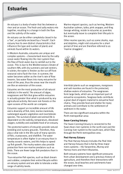 Estuaries - Perth Beachcombers Education Kit