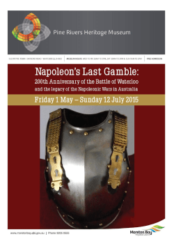 Napoleon`s Last Gamble