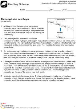 Carbohydrates Into Sugar