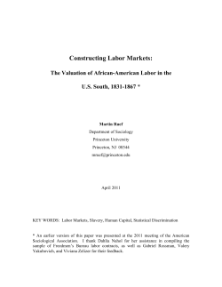 Ruef Paper - Harvard Business School