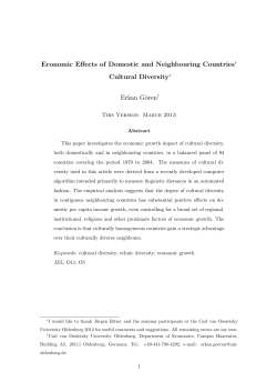 Economic Effects of Domestic and Neighbouring Countries