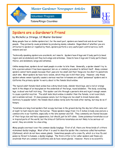Master Gardener Newspaper Articles Spiders are a Gardener`s Friend