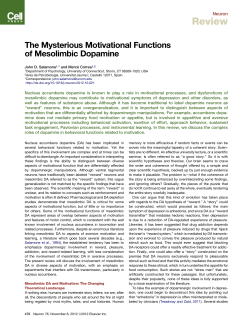 anything that involves effortful activity