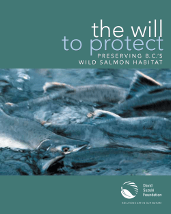 The will to protect: Preserving B.C.`s wild salmon habitat