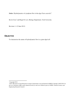 microfluidics report
