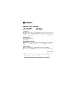 500 bp DNA Ladder - Thermo Fisher Scientific
