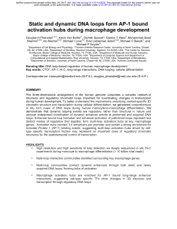 Static And Dynamic DNA Loops Form AP-1 Bound