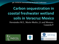 Presentation - UF/IFAS Office of Conferences and Institutes