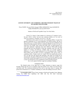 Genetic diversity and combining abilities for root traits of sugar beet