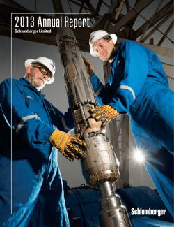 2013 Annual Report - Investor Relations Solutions