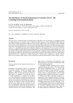 The inheritance of chemical phenotype in Cannabis sativa L. (II