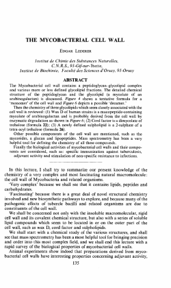the mycobacterial cell wall
