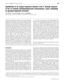 Identification of an oxygen-responsive element in the 5h