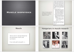Muscle biophysics