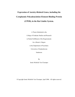 Expression of Anxiety-Related Genes, including the Cytoplasmic