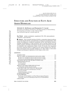 structure and function of fatty acid amide hydrolase