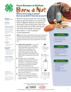 Burn a Nut Burn a Nut - 4-H