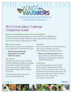 PECO Smart Ideas Challenge Chaperone Guide
