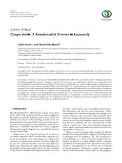 Phagocytosis: A fundamental process in immunity