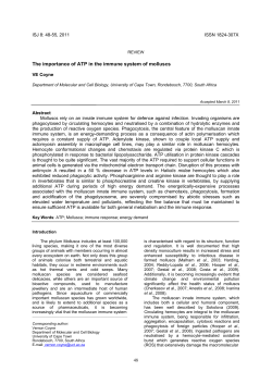 The importance of ATP in the immune system of molluscs