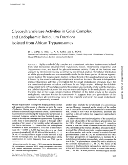 Glycosyltransferase Activities in Golgi Complex and Endoplasmic