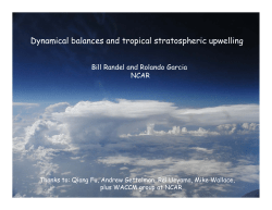Dynamical balances and tropical stratospheric upwelling