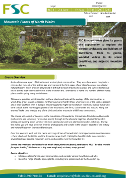 Mountain Plants of North Wales