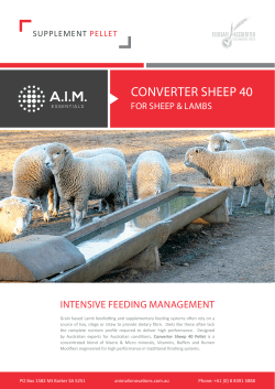 converter sheep 40 - Animal Innovations
