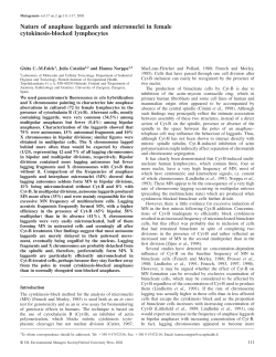 Nature of anaphase laggards and micronuclei in